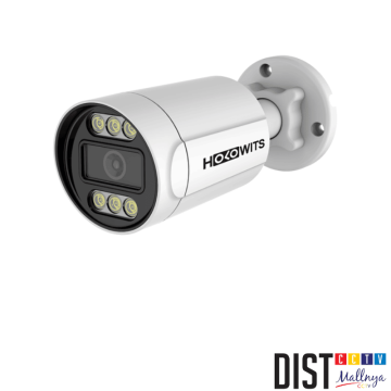 HOLOWITS A1A-2L (3.6) 2MP