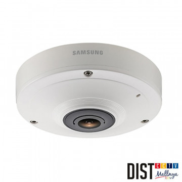 CCTV Camera Samsung SNF-8010P