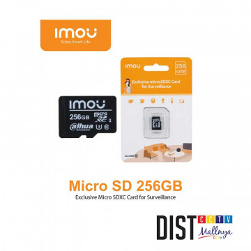 Micro SD Card ST2-256-S1...