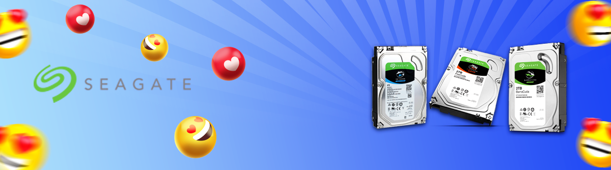 Distributor Seagate - DISTCCTV Mallnya CCTV